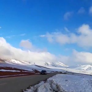 Meet your Posher, Fahimeh